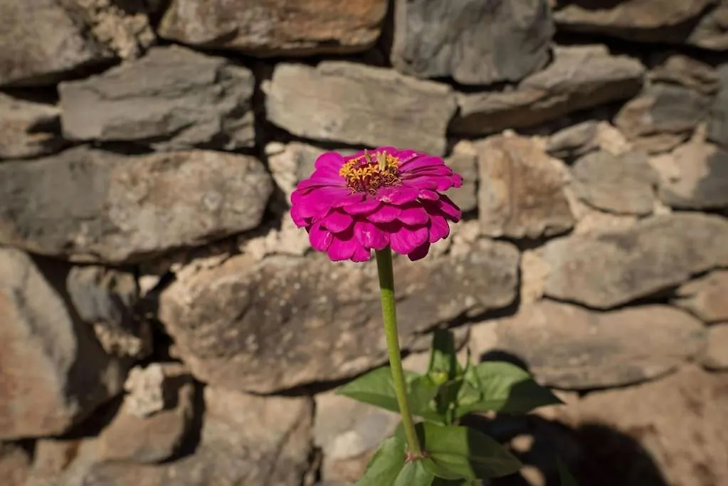 Сasa de vacaciones L'Ange : Entre Monts Et Vallees Retournac